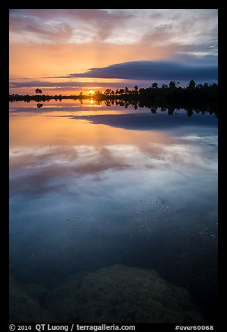 Sunset, Pines Glades Lake. Everglades National Park (color)
