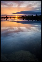 Sunset, Pines Glades Lake. Everglades National Park ( color)