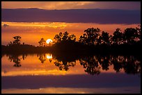 Sun setting, Pines Glades Lake. Everglades National Park ( color)