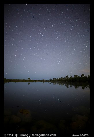 Starry night, Pines Glades Lake. Everglades National Park (color)