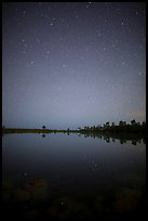 Starry night, Pines Glades Lake. Everglades National Park, Florida, USA.