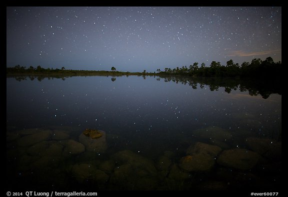 Stars and reflections in Pines Glades Lake. Everglades National Park (color)