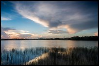 Nine-Mile Pond at sunrise. Everglades National Park ( color)