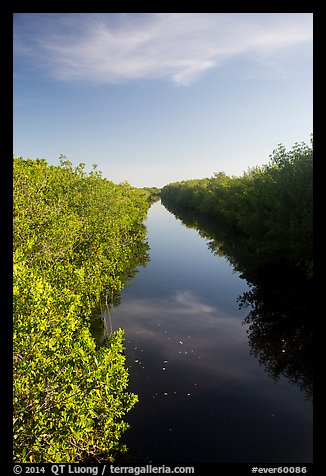 Canal lined up with mangroves. Everglades National Park (color)