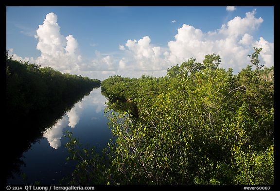 Buttonwood Canal and clouds. Everglades National Park, Florida, USA.