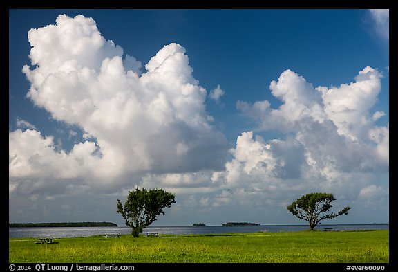 Trees, Florida Bay, and clouds. Everglades National Park, Florida, USA.