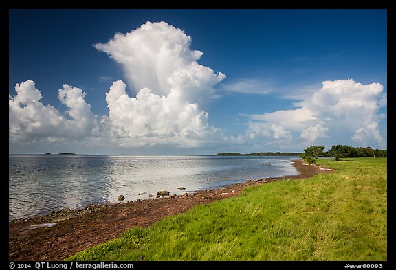 Coastal prairie, Florida Bay, and clouds. Everglades National Park, Florida, USA.