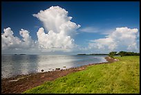 Coastal prairie, Florida Bay, and clouds. Everglades National Park ( color)