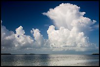 Summer clouds above Florida Bay. Everglades National Park ( color)