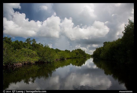 Buttonwood Canal and rain clouds. Everglades National Park, Florida, USA.