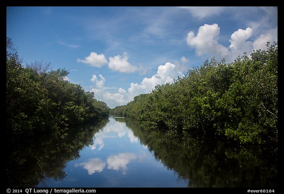 Water-level view of Buttonwood Canal. Everglades National Park, Florida, USA.