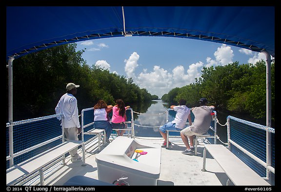 Canal seen from deck of tour boat. Everglades National Park (color)