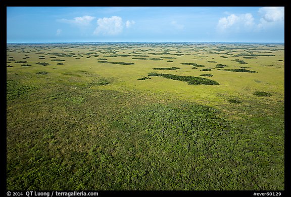 Aerial view of slough and hammocks, Shark Valley. Everglades National Park (color)