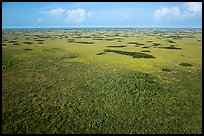 Aerial view of slough and hammocks, Shark Valley. Everglades National Park ( color)