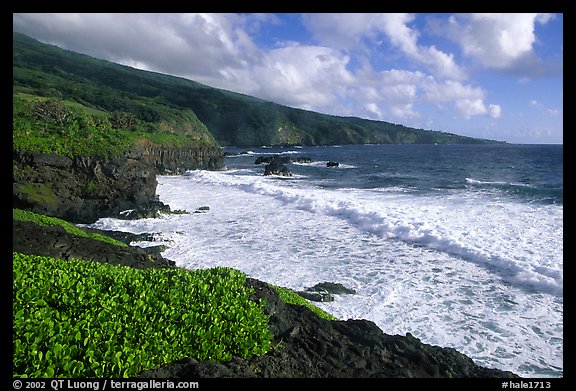 Coast at Kipahulu, morning. Haleakala National Park