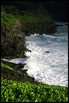 Waves and cliffs at Kipahulu, morning. Haleakala National Park, Hawaii, USA.