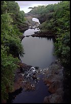Oho o Stream on its way to the ocean forms Seven sacred pools. Haleakala National Park, Hawaii, USA. (color)