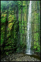 Waimoku Falls, more than 300 feet high. Haleakala National Park, Hawaii, USA. (color)