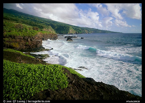 Coast at Kipahulu, morning. Haleakala National Park, Hawaii, USA.