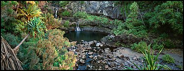 Tropical pools, waterfalls, and vegetation. Haleakala National Park (Panoramic color)