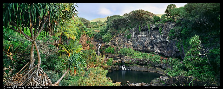 Tropical landscape with pools and waterfalls. Haleakala National Park, Hawaii, USA.