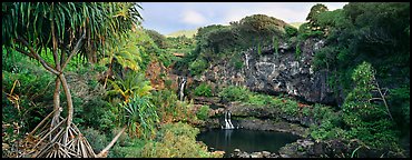 Tropical landscape with pools and waterfalls. Haleakala National Park (Panoramic color)