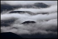 Cinder cones emerging from clouds. Haleakala National Park ( color)