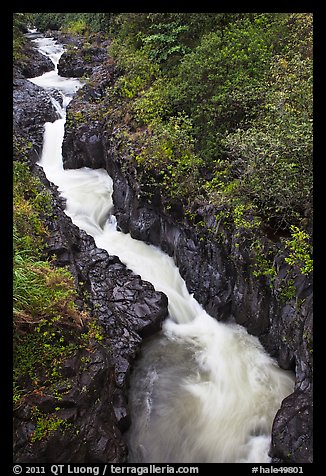 Pipiwai Stream in Oheo Gulch. Haleakala National Park, Hawaii, USA.
