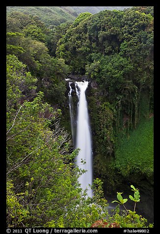 Makahiku Falls. Haleakala National Park (color)