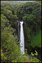Makahiku Falls. Haleakala National Park, Hawaii, USA. (color)