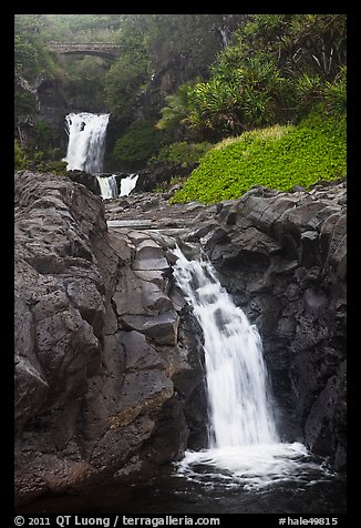 Waterfalls and bridge,  Seven Sacred Pools, Kipaluhu. Haleakala National Park (color)