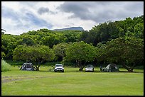 Camping in verdant Kipahulu Campground. Haleakala National Park ( color)