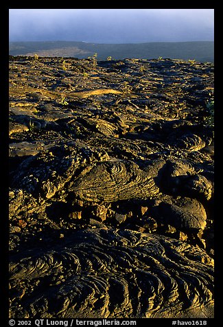Hardened lava flow and Kaena Point. Hawaii Volcanoes National Park, Hawaii, USA.