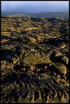 Hardened lava flow and Kaena Point. Hawaii Volcanoes National Park ( color)