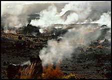 Fumeroles on the rim of Halemaumau crater. Hawaii Volcanoes National Park ( color)