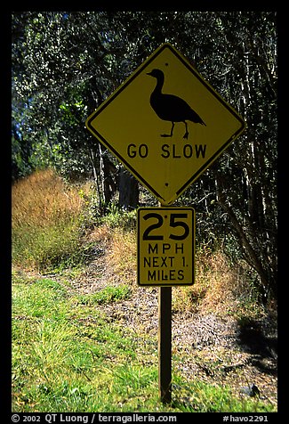 Road sign showing the nene (Hawaiian goose). Hawaii Volcanoes National Park, Hawaii, USA.
