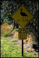 Road sign showing the nene (Hawaiian goose). Hawaii Volcanoes National Park, Hawaii, USA. (color)