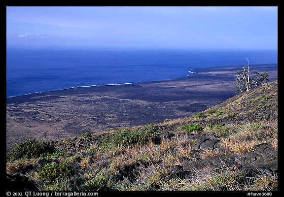 View of the coastal plain from Hilana Pali. Hawaii Volcanoes National Park, Hawaii, USA.