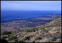 View of the coastal plain from Hilana Pali. Hawaii Volcanoes National Park ( color)