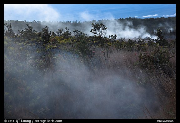 Steam vents. Hawaii Volcanoes National Park, Hawaii, USA.