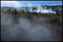 Steam vents. Hawaii Volcanoes National Park ( color)