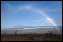 Rainbow and Mauna Loa. Hawaii Volcanoes National Park ( color)