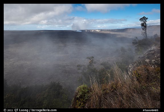 Steam from vents at the edge of Kilauea caldera. Hawaii Volcanoes National Park, Hawaii, USA.
