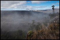 Steam from vents at the edge of Kilauea caldera. Hawaii Volcanoes National Park ( color)
