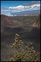 Kilauea Iki Crater, Halemaumau plume, and Mauma Loa. Hawaii Volcanoes National Park ( color)