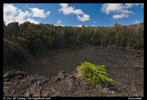 Lua Manu crater. Hawaii Volcanoes National Park (color)