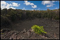 Lua Manu crater. Hawaii Volcanoes National Park ( color)