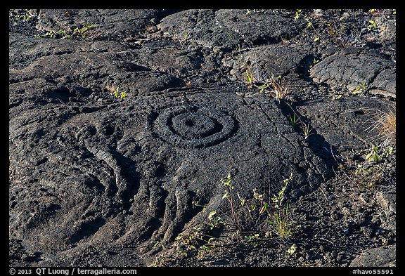 Petroglyph with motif of concentric circles. Hawaii Volcanoes National Park, Hawaii, USA.