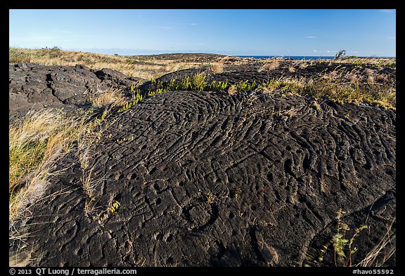 Puu Loa petroglyphs. Hawaii Volcanoes National Park, Hawaii, USA.
