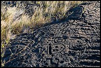 Lava slab covered with petroglyphs. Hawaii Volcanoes National Park, Hawaii, USA. (color)